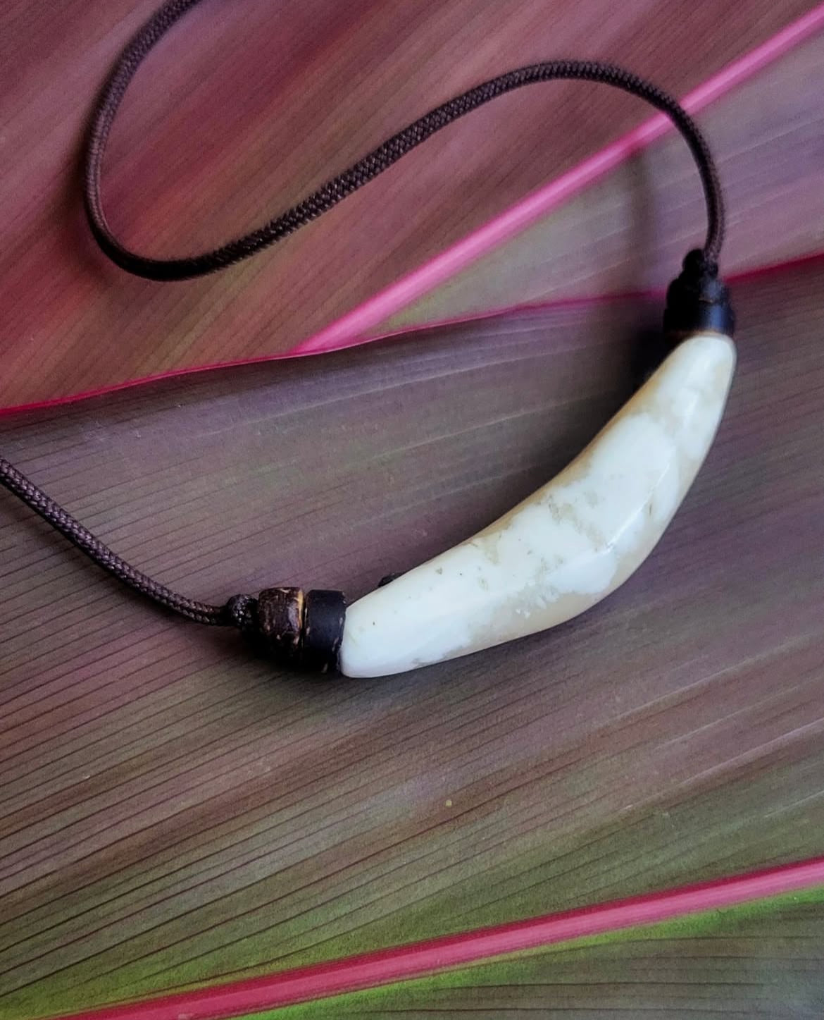 SOLD OUT | HIMA (White Clamshell) Sinahi